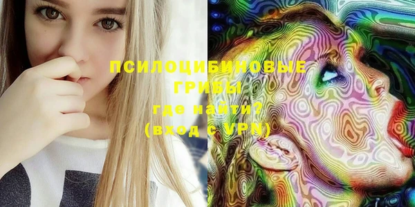 стафф Няндома