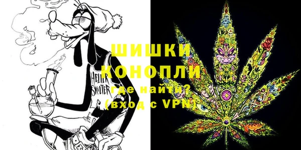 стафф Няндома
