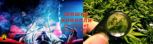 стафф Няндома