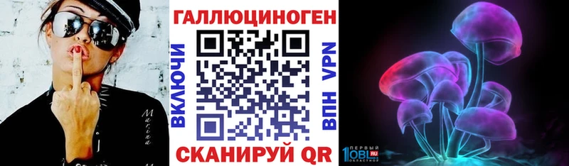 Псилоцибиновые грибы Cubensis  хочу   Кодинск 